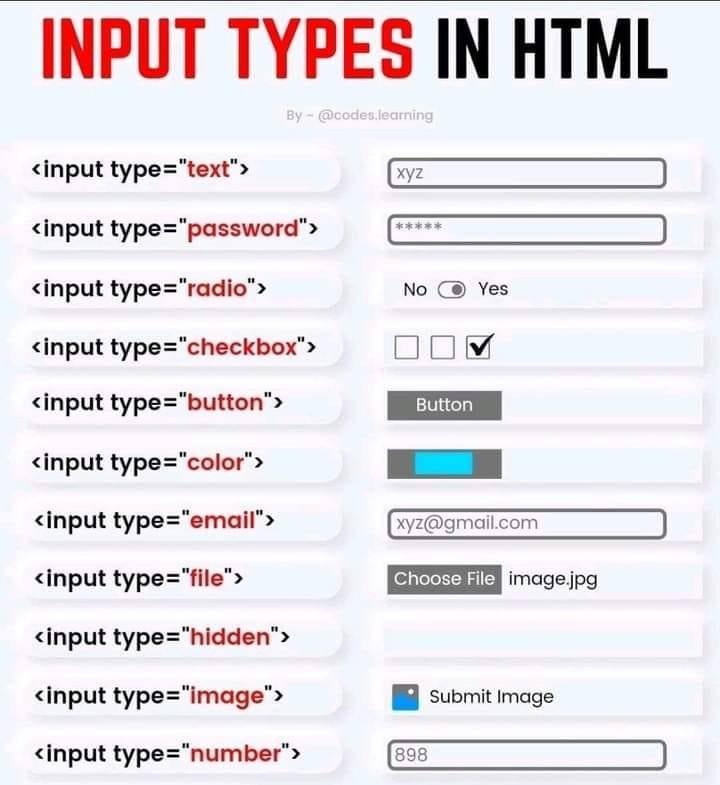 input type html attributes