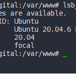 Ini Dia Cara Cek Versi Ubuntu, Gak Pake Ribet!